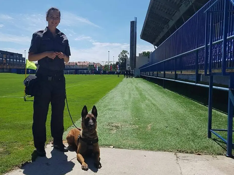 Iskusna trenerica pasa na nogometnom stadionu u Zagrebu
